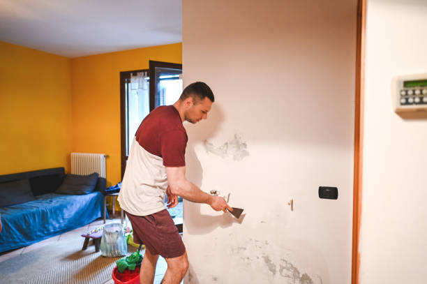 Best Preventive Mold Services in Somerville, NJ